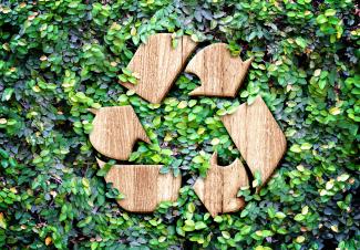 recycling logo on green photo