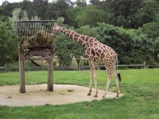 Cape May County Park and Zoo